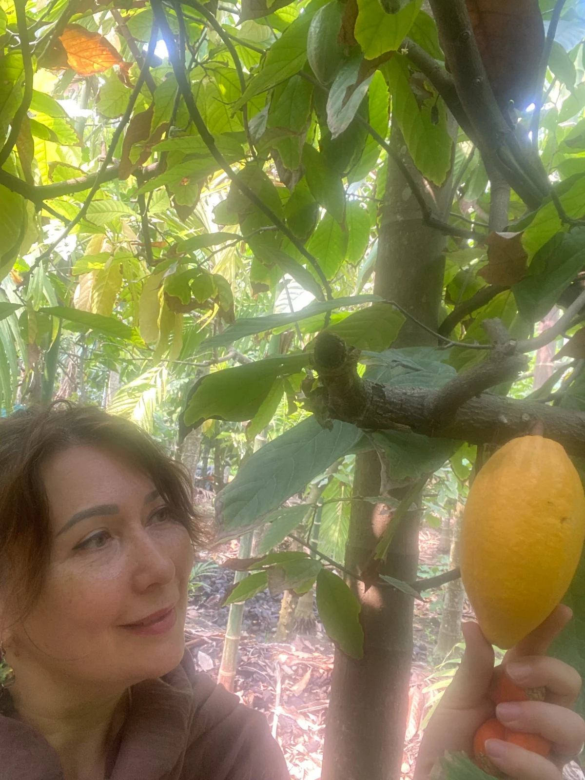 Liliya selecting cacao at its source